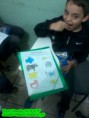 /album/galeria-de-fotos%3a-todos-os-animais-s%c3%a3o-preesntes-de-deus-/a10352577-896892203660570-1941502887135637030-n-jpg/
